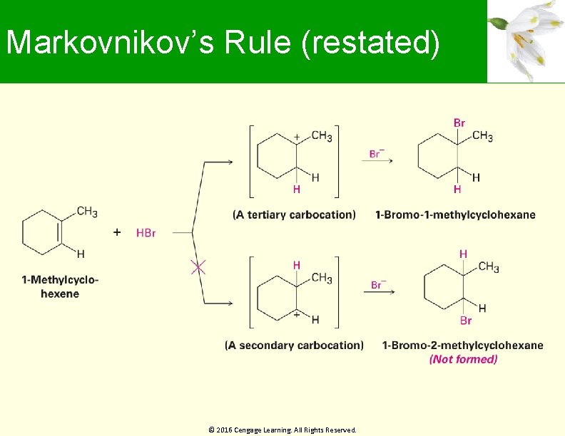 Markovnikov’s Rule (restated) © 2016 Cengage Learning. All Rights Reserved. 