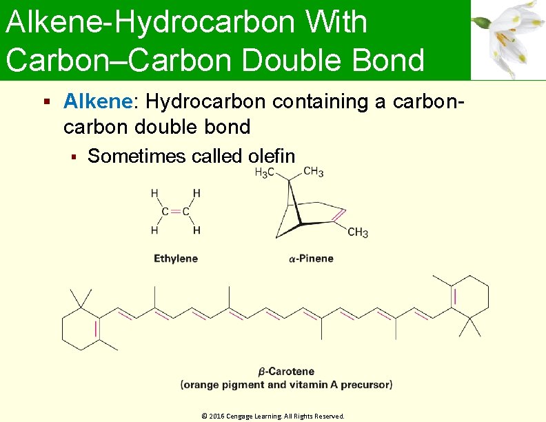 Alkene-Hydrocarbon With Carbon–Carbon Double Bond Alkene: Hydrocarbon containing a carbon- carbon double bond Sometimes