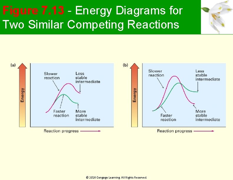 Figure 7. 13 - Energy Diagrams for Two Similar Competing Reactions © 2016 Cengage