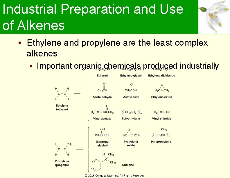 Industrial Preparation and Use of Alkenes Ethylene and propylene are the least complex alkenes