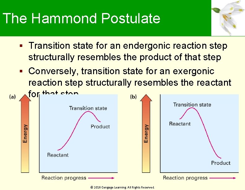 The Hammond Postulate Transition state for an endergonic reaction step structurally resembles the product