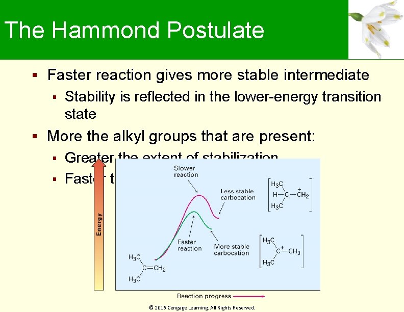 The Hammond Postulate Faster reaction gives more stable intermediate Stability is reflected in the