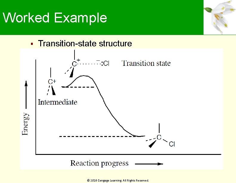 Worked Example Transition-state structure © 2016 Cengage Learning. All Rights Reserved. 