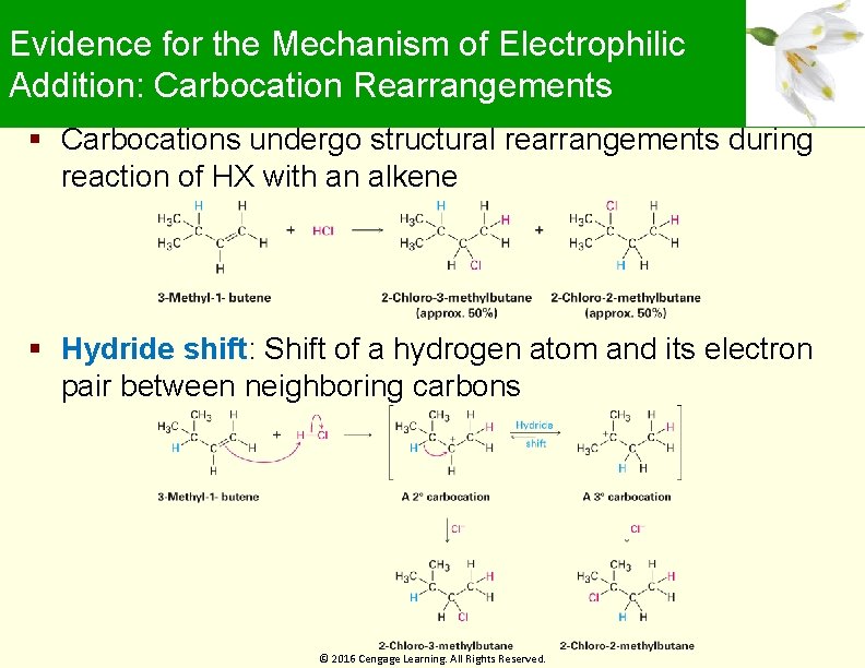 Evidence for the Mechanism of Electrophilic Addition: Carbocation Rearrangements Carbocations undergo structural rearrangements during