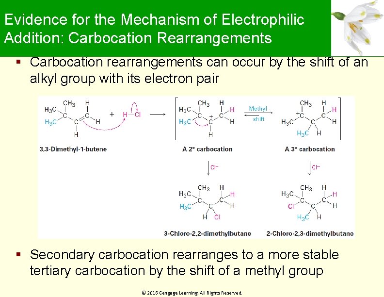 Evidence for the Mechanism of Electrophilic Addition: Carbocation Rearrangements Carbocation rearrangements can occur by