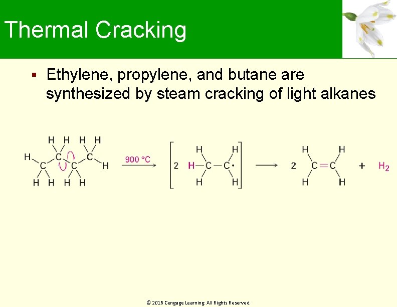 Thermal Cracking Ethylene, propylene, and butane are synthesized by steam cracking of light alkanes