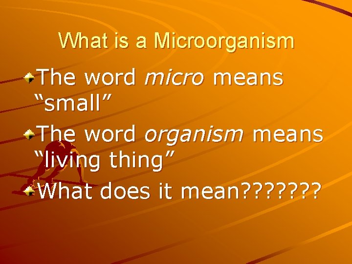 Microorganisms Viruses Bacteria and Fungi By Mr Yust