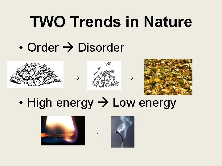 TWO Trends in Nature • Order Disorder • High energy Low energy 