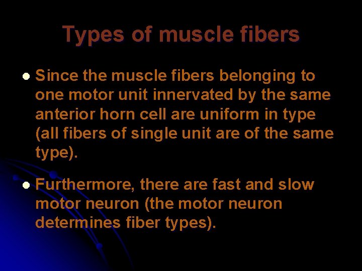 Types of muscle fibers l Since the muscle fibers belonging to one motor unit