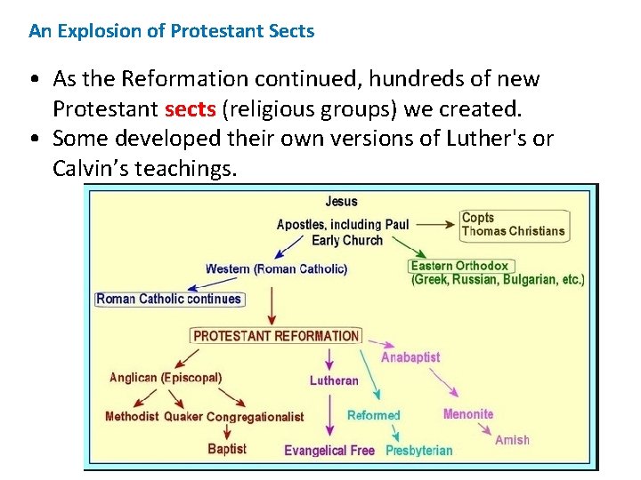 An Explosion of Protestant Sects • As the Reformation continued, hundreds of new Protestant