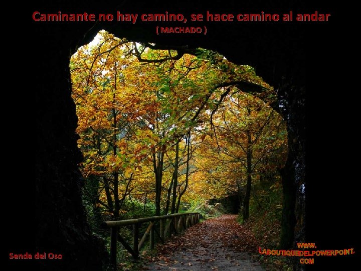 Caminante no hay camino, se hace camino al andar ( MACHADO ) Senda del