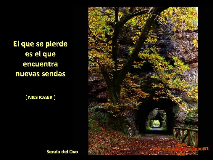 El que se pierde es el que encuentra nuevas sendas ( NILS KJAER )