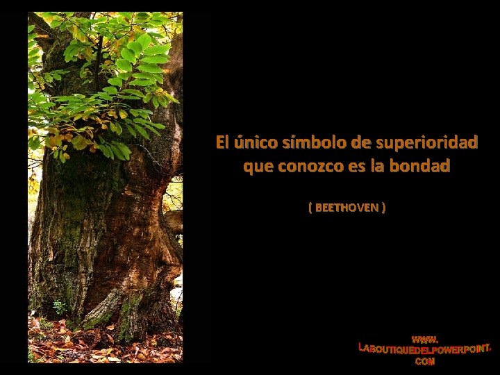 El único símbolo de superioridad que conozco es la bondad ( BEETHOVEN ) 