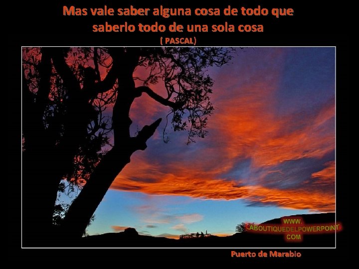 Mas vale saber alguna cosa de todo que saberlo todo de una sola cosa