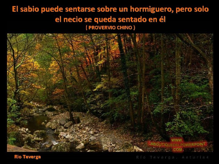 El sabio puede sentarse sobre un hormiguero, pero solo el necio se queda sentado