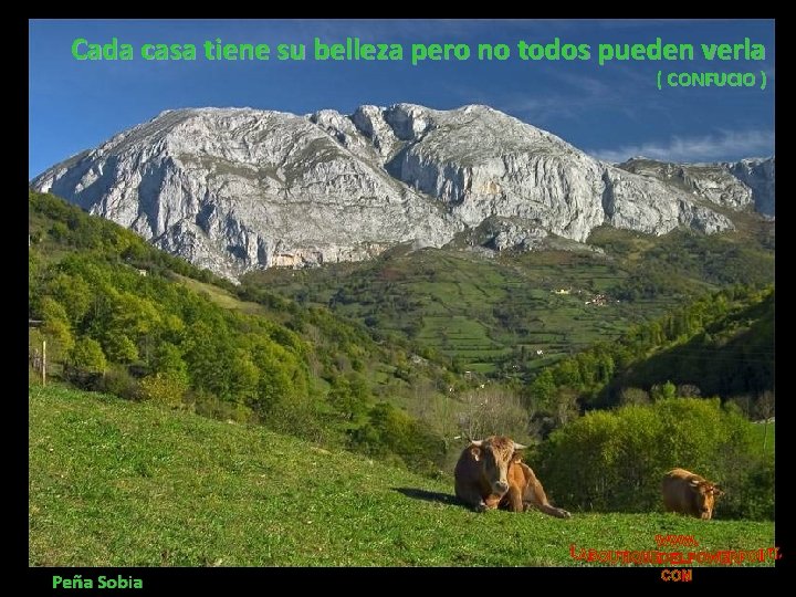 Cada casa tiene su belleza pero no todos pueden verla ( CONFUCIO ) Peña