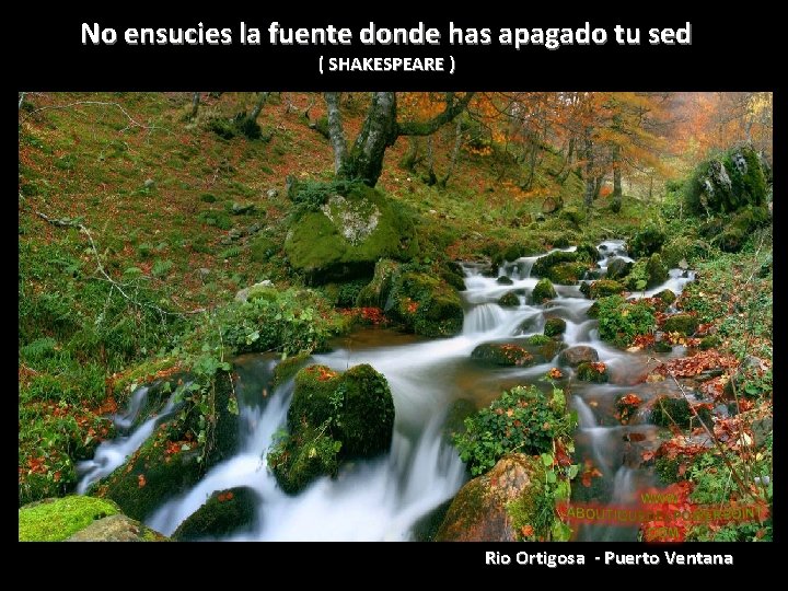 No ensucies la fuente donde has apagado tu sed ( SHAKESPEARE ) Rio Ortigosa