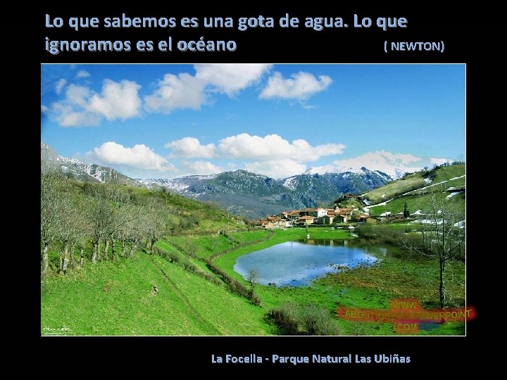 Lo que sabemos es una gota de agua. Lo que ignoramos es el océano