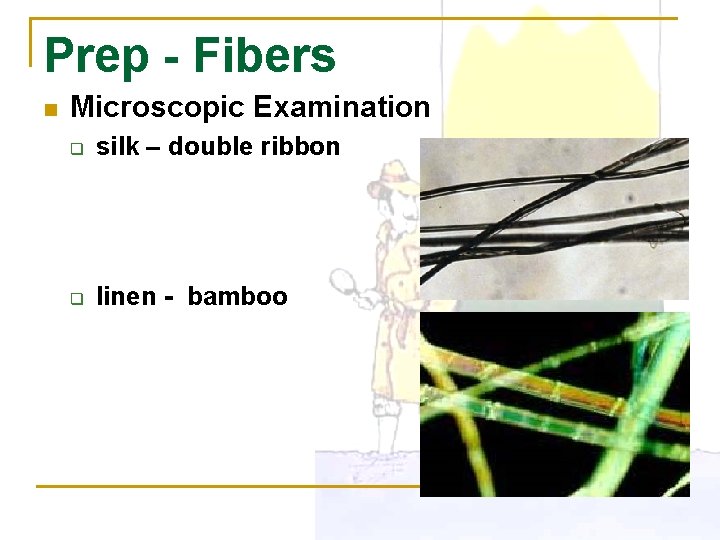 Prep - Fibers n Microscopic Examination q silk – double ribbon q linen -