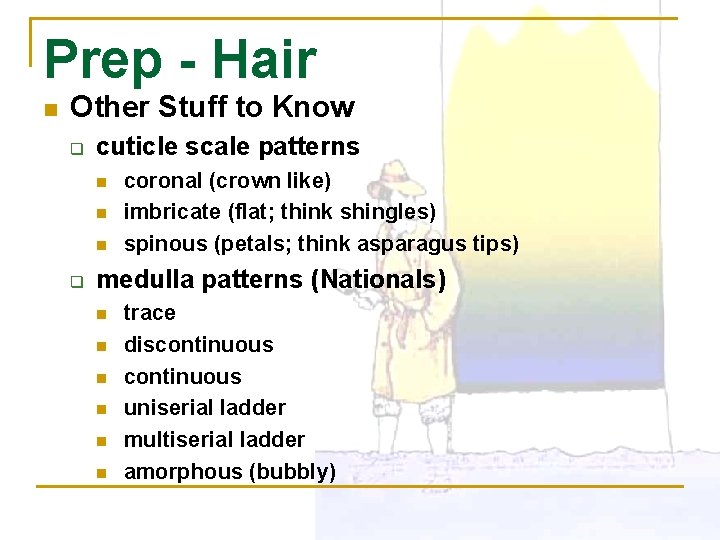 Prep - Hair n Other Stuff to Know q cuticle scale patterns n n
