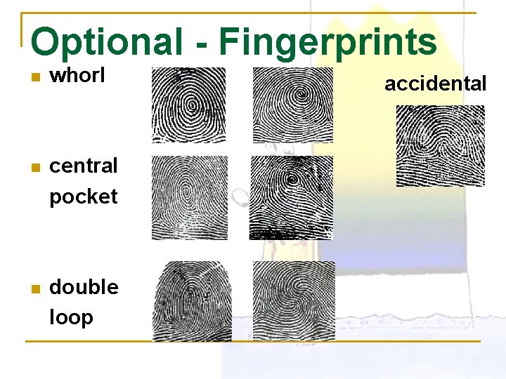 Optional - Fingerprints n whorl n central pocket n double loop accidental 