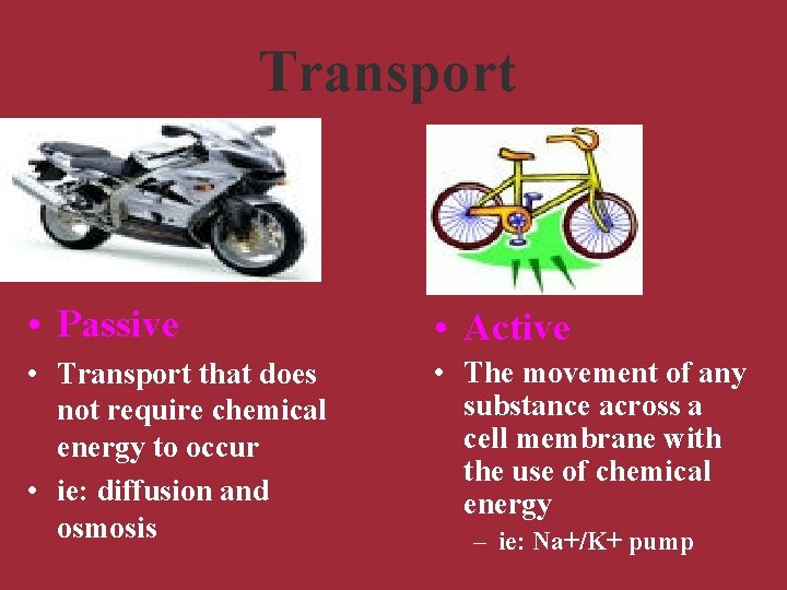 Transport • Passive • Active • Transport that does not require chemical energy to