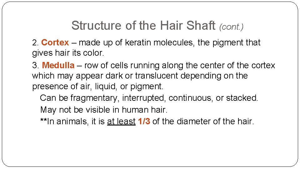 Structure of the Hair Shaft (cont. ) 2. Cortex – made up of keratin Structure of the Hair Shaft (cont. ) 2. Cortex – made up of keratin