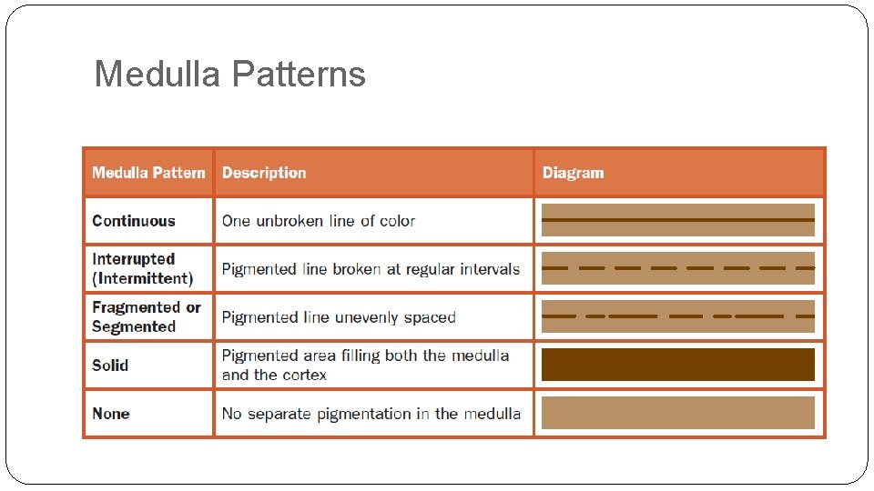 Medulla Patterns Medulla Patterns