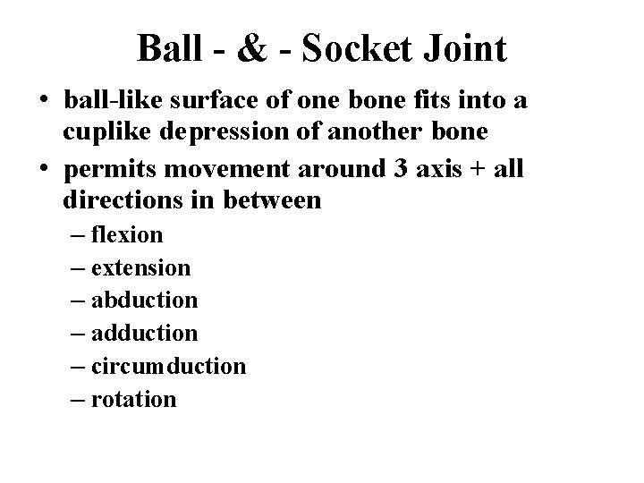 Ball - & - Socket Joint • ball-like surface of one bone fits into