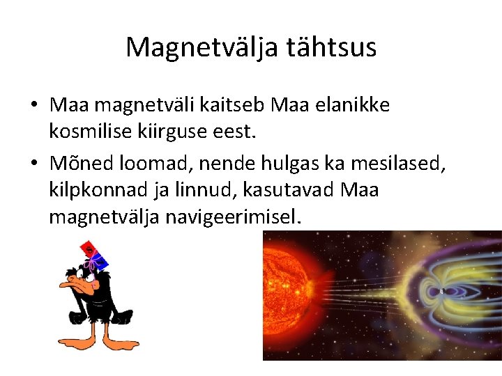 Magnetvälja tähtsus • Maa magnetväli kaitseb Maa elanikke kosmilise kiirguse eest. • Mõned loomad,