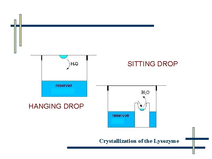 SITTING DROP HANGING DROP Crystallization of the Lysozyme 