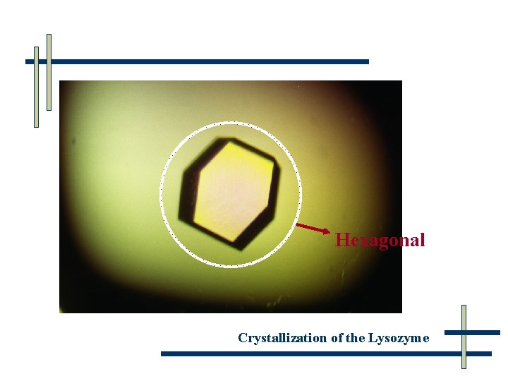 Hexagonal Crystallization of the Lysozyme 