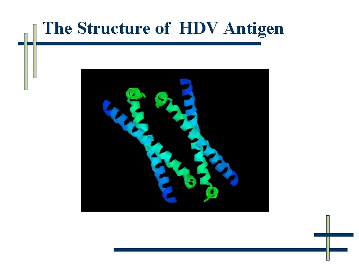 The Structure of HDV Antigen 