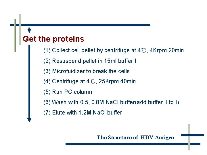Get the proteins (1) Collect cell pellet by centrifuge at 4℃, 4 Krpm 20