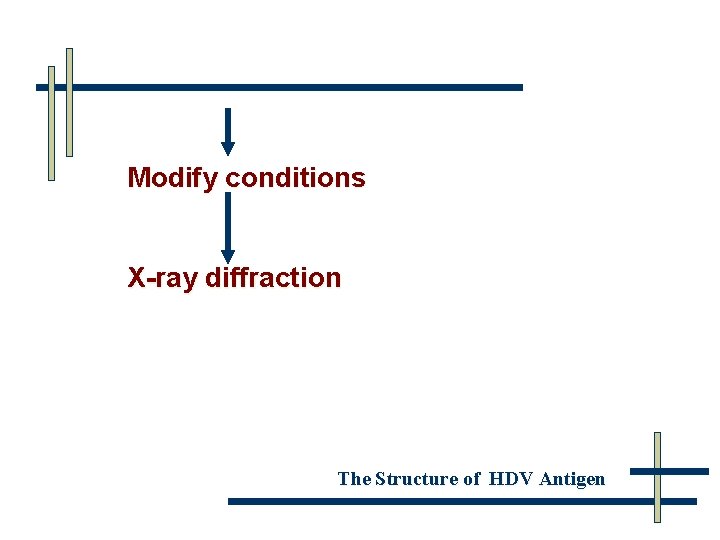 Modify conditions X-ray diffraction The Structure of HDV Antigen 