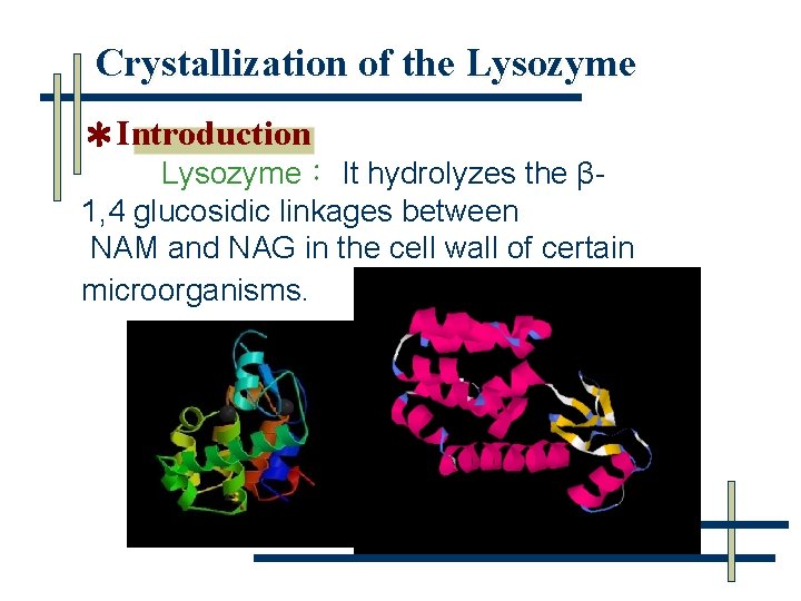 Crystallization of the Lysozyme ＊Introduction Lysozyme： It hydrolyzes the β 1, 4 glucosidic linkages