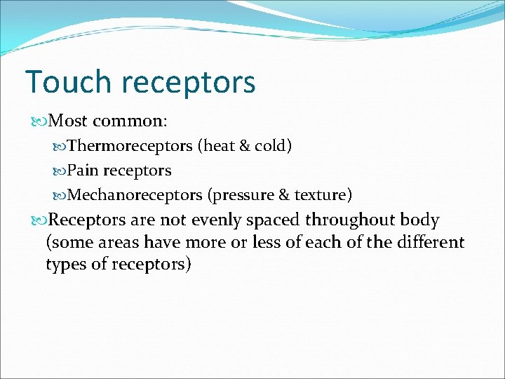 Touch receptors Most common: Thermoreceptors (heat & cold) Pain receptors Mechanoreceptors (pressure & texture)