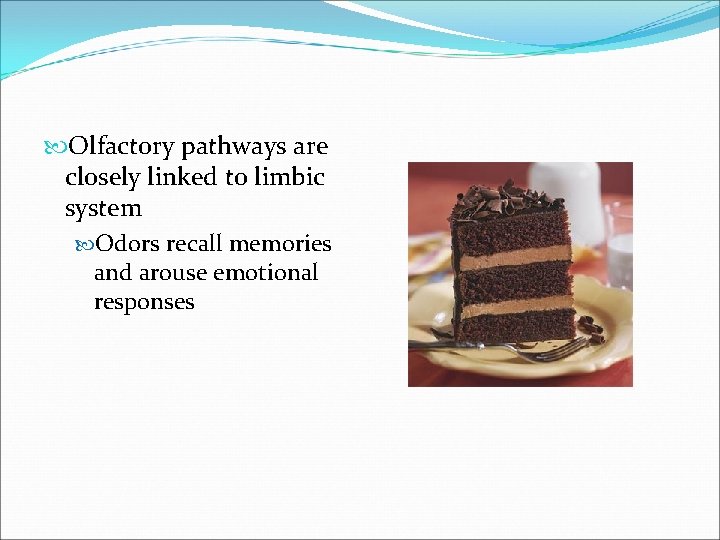  Olfactory pathways are closely linked to limbic system Odors recall memories and arouse