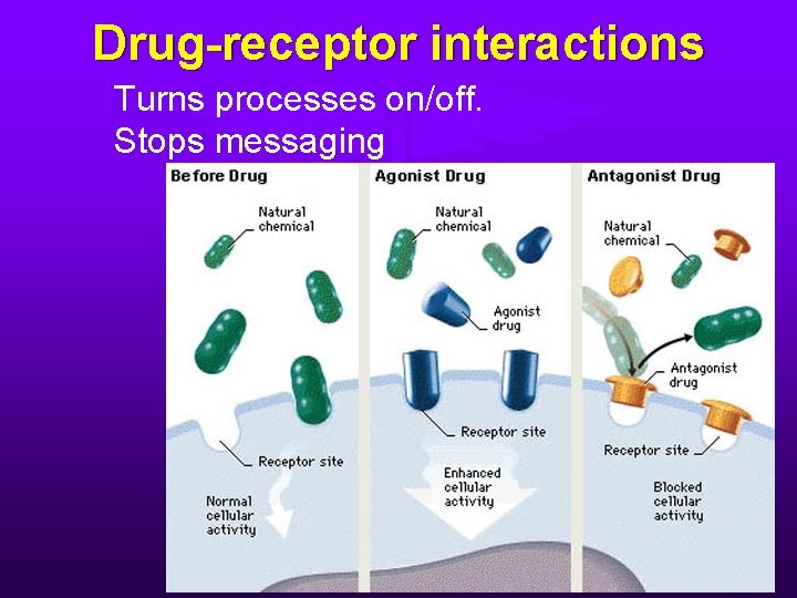 Drug-receptor interactions Turns processes on/off. Stops messaging 