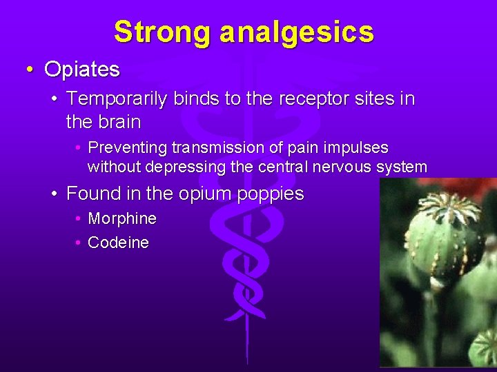 Strong analgesics • Opiates • Temporarily binds to the receptor sites in the brain