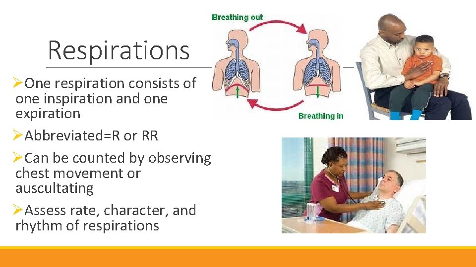 Respirations ØOne respiration consists of one inspiration and one expiration ØAbbreviated=R or RR ØCan