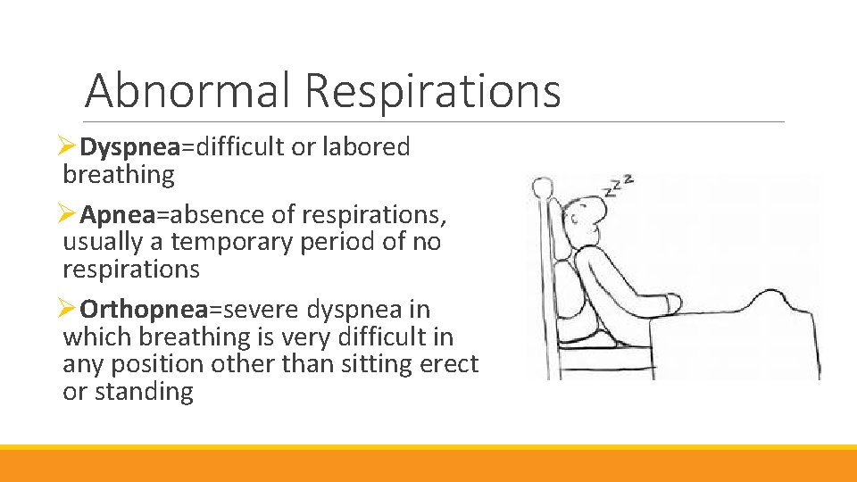 Abnormal Respirations ØDyspnea=difficult or labored breathing ØApnea=absence of respirations, usually a temporary period of