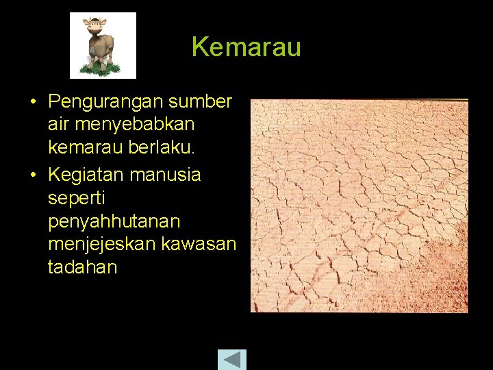 Kemarau • Pengurangan sumber air menyebabkan kemarau berlaku. • Kegiatan manusia seperti penyahhutanan menjejeskan