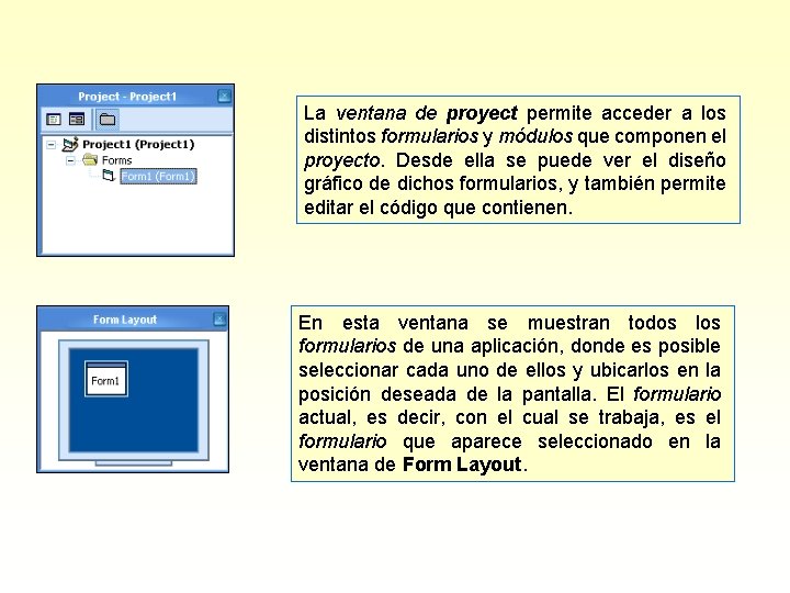 La ventana de proyect permite acceder a los distintos formularios y módulos que componen