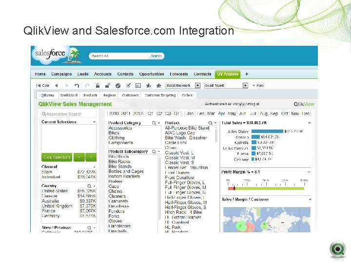 Qlik. View and Salesforce. com Integration Qlik. View and Salesforce. com Integration