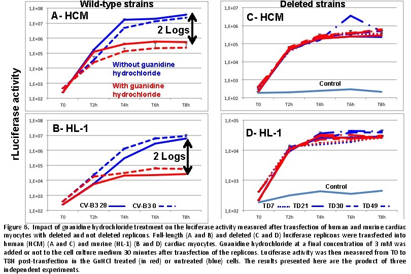 Wild-type strains Deleted strains A- HCM C- HCM r. Luciferase activity 2 Logs Without