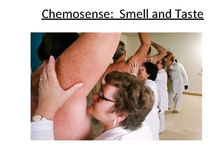 Chemosense: Smell and Taste 