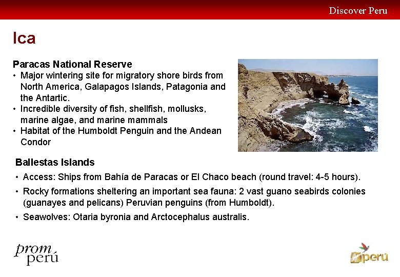 Discover Peru Ica Paracas National Reserve • Major wintering site for migratory shore birds