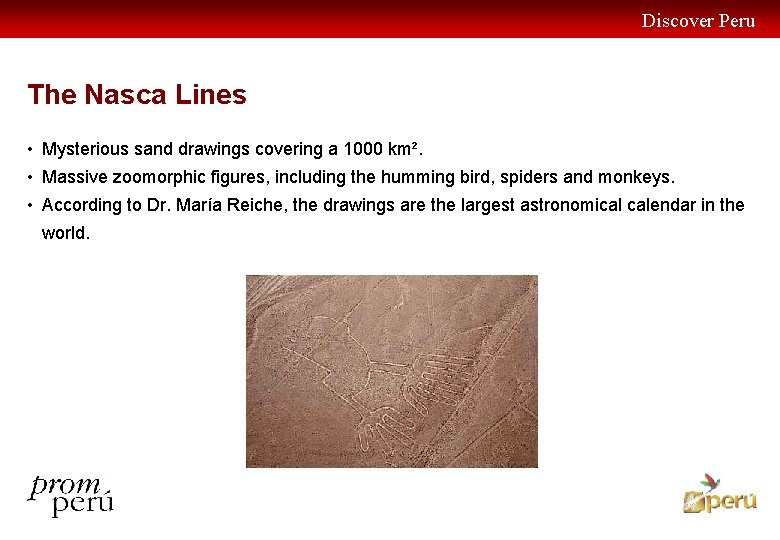 Discover Peru The Nasca Lines • Mysterious sand drawings covering a 1000 km². •