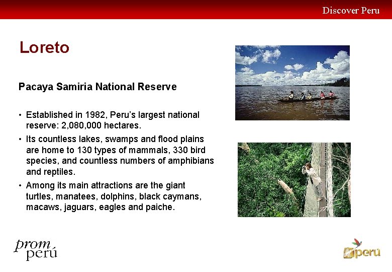 Discover Peru Loreto Pacaya Samiria National Reserve • Established in 1982, Peru’s largest national